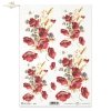 poppy, poppies, flower, flowers, R415